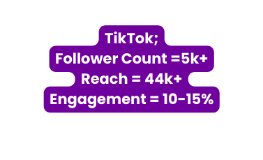 TikTok Follower Count 5k Reach 44k Engagement 10 15